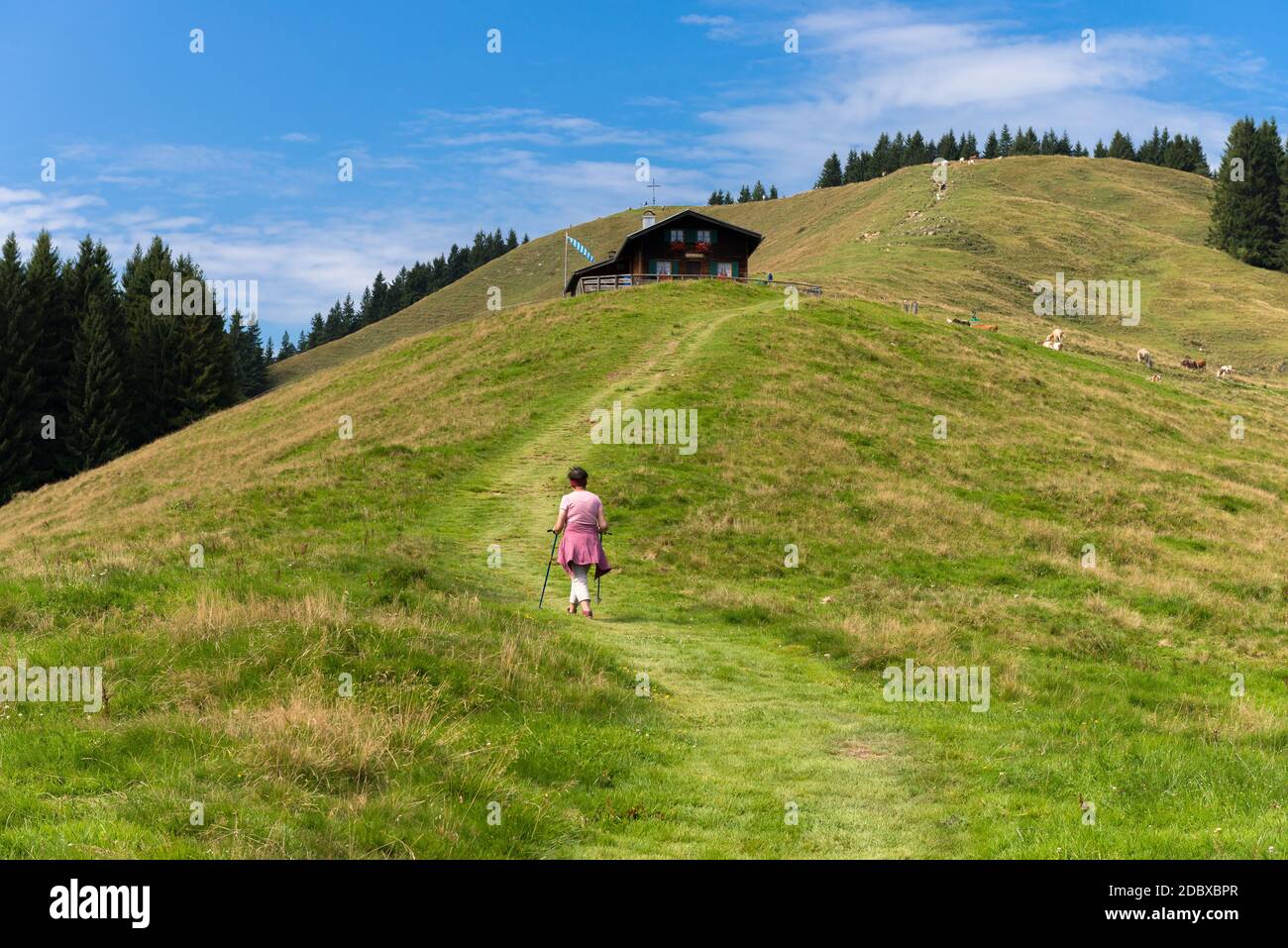 Wandern auf Zwiesel im alpinen Hochland Stockfoto