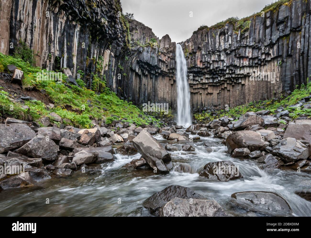 Wasserfall Svartifoss im Skaftafell Nationalpark Stockfoto