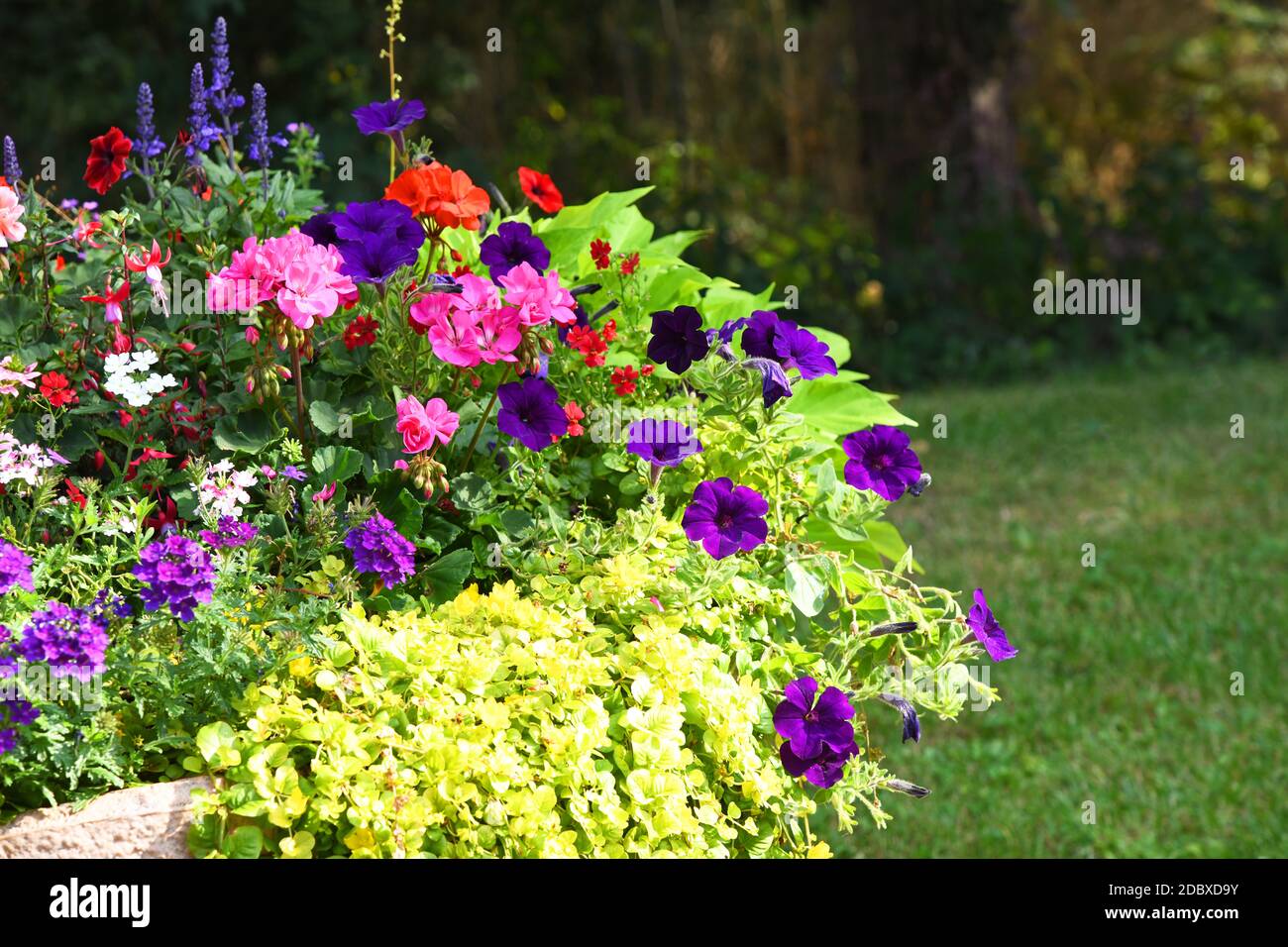 Farbenfrohe Blumenbeete im Sommer Stockfoto