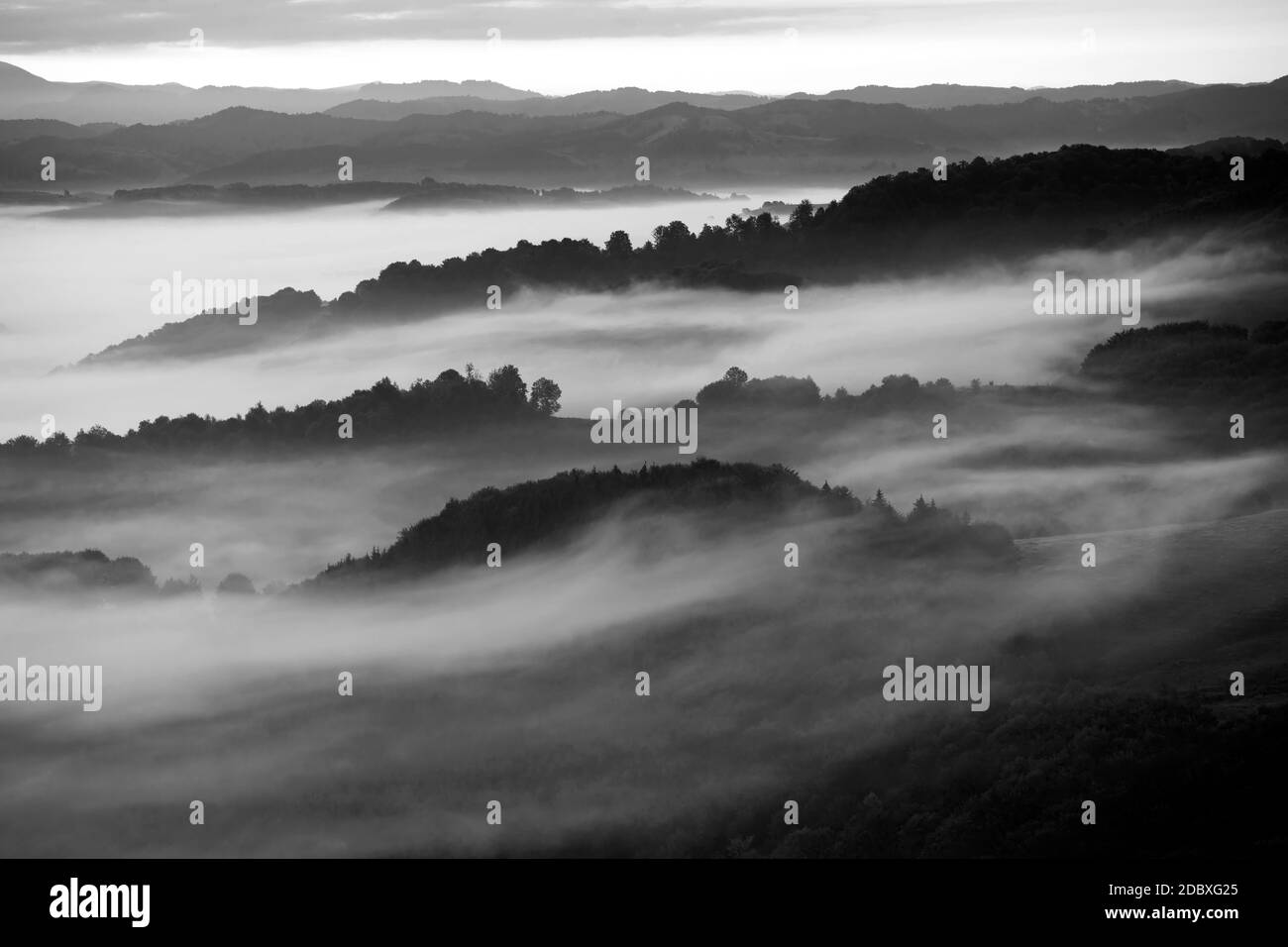 Schöne Landschaft in den Bergen bei Sonnenaufgang. Blick auf neblige Hügel und Tal von Wald bedeckt. Stockfoto