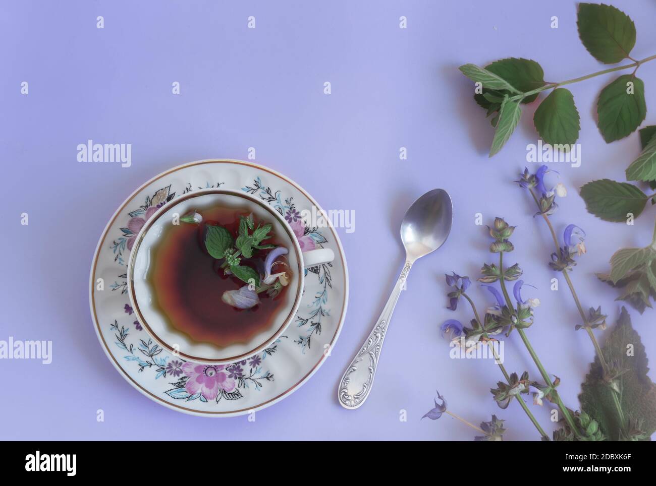 Eine Tasse Kräutertee mit Salbeiblüten und Minzblättern wirkt beruhigend. Draufsicht, Kopierbereich. Stockfoto