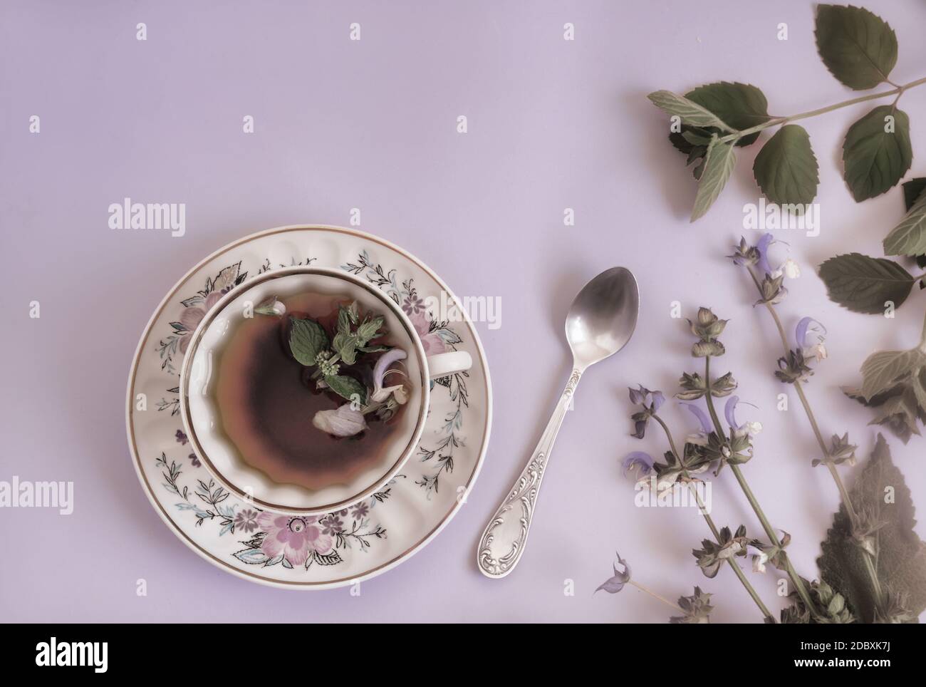 Eine Tasse Kräutertee mit Salbeiblüten und Minzblättern wirkt beruhigend. Draufsicht, Kopierbereich. Stockfoto