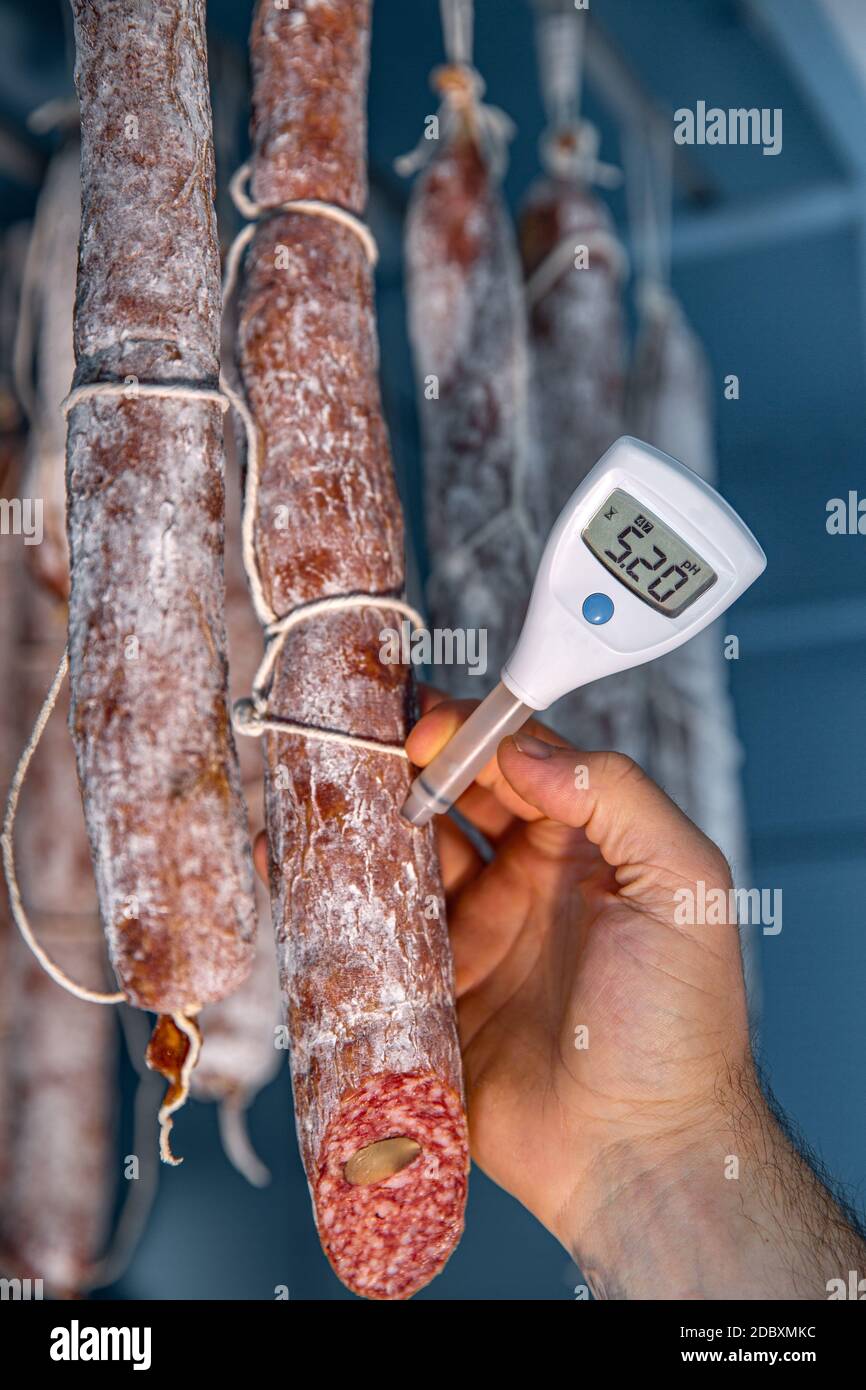 Schimmel ist ideal für traditionelle Salami Arten bei niedriger Temperatur und niedriger Luftfeuchtigkeit getrocknet Stockfoto