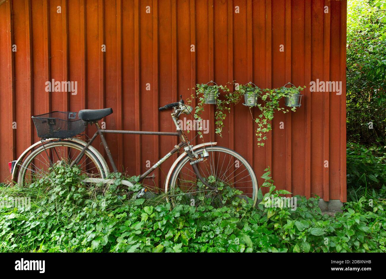 Altes Fahrrad, angelehnt an eine Scheune, Eindruck von einem Roadtrip in die ländliche Landschaft Mecklenburg-Vorpommerns im Nordosten Deutschlands Stockfoto