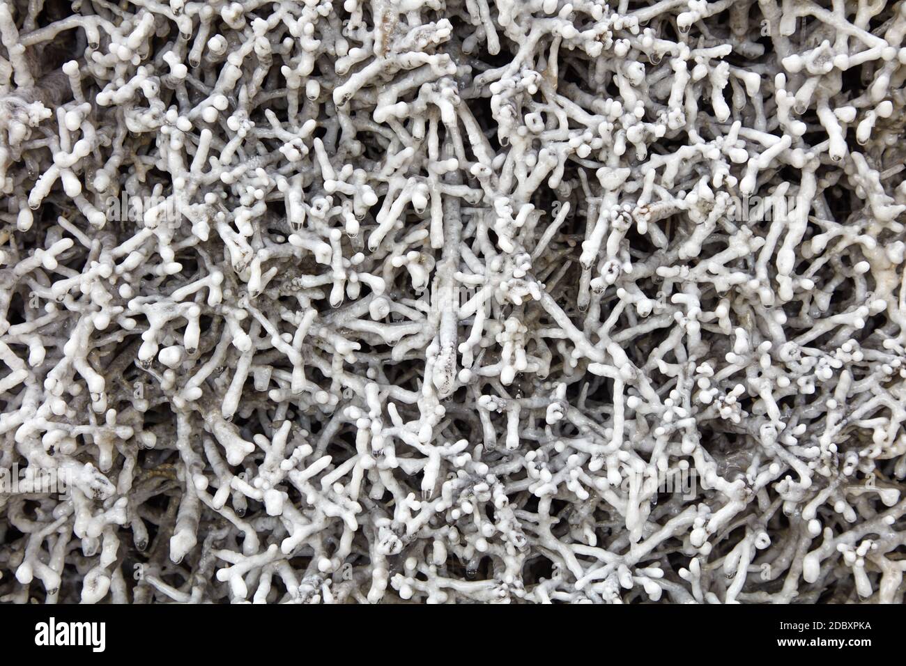 Salzproduktion Stockfoto