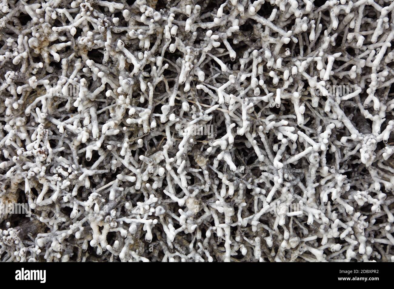 Salzproduktion Stockfoto