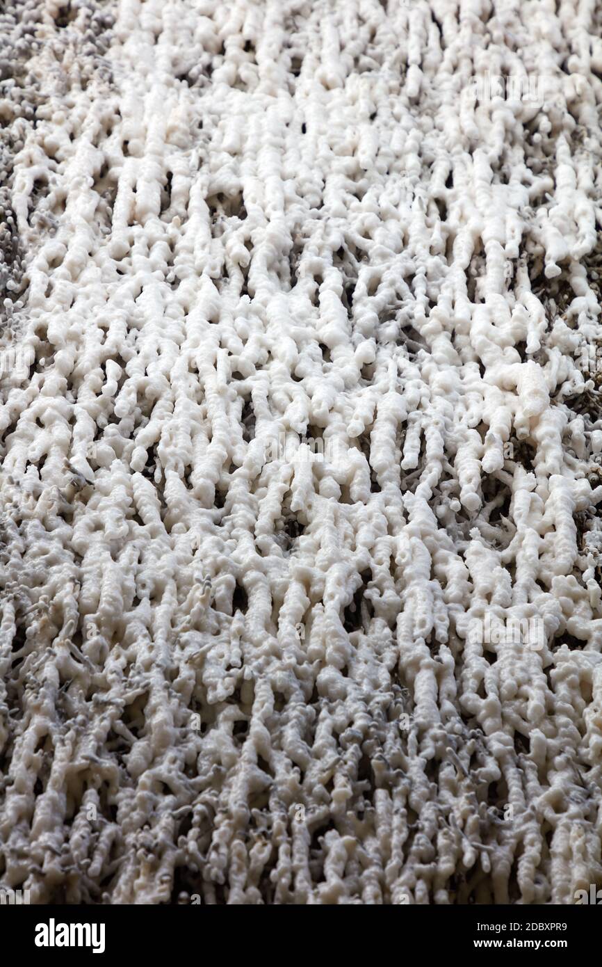 Salzproduktion Stockfoto