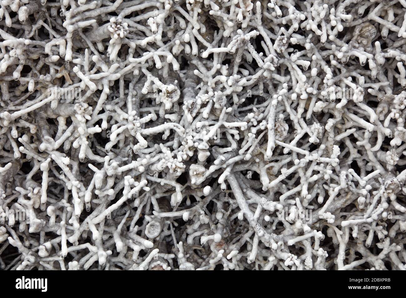 Salzproduktion Stockfoto