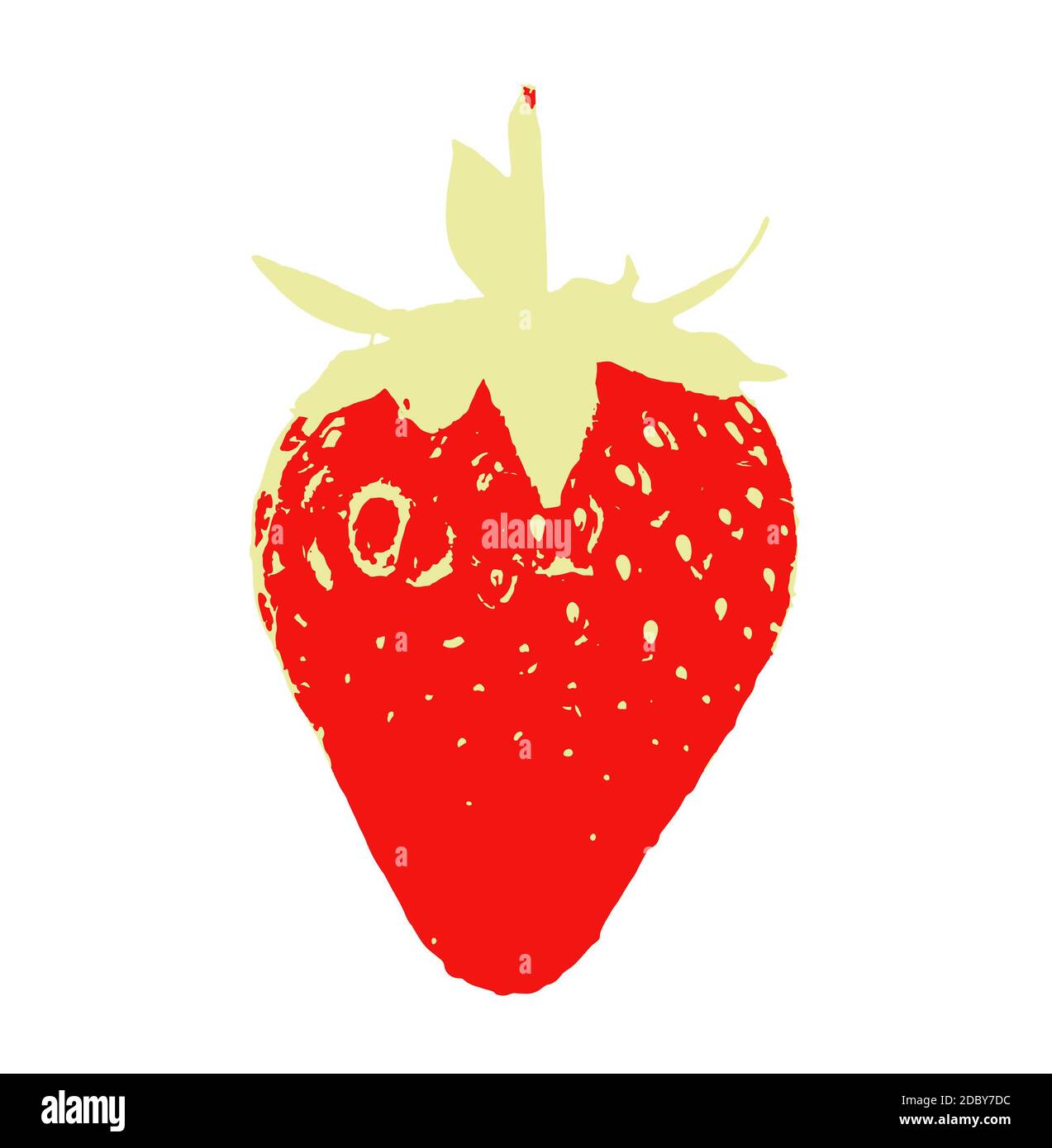 Erdbeerfrucht isoliert auf weißem Hintergrund. Erdbeeren sind eigentlich eine Gruppe von Früchten (Gattung Fragaria) mit mehreren Sorten und sind Teil Stockfoto