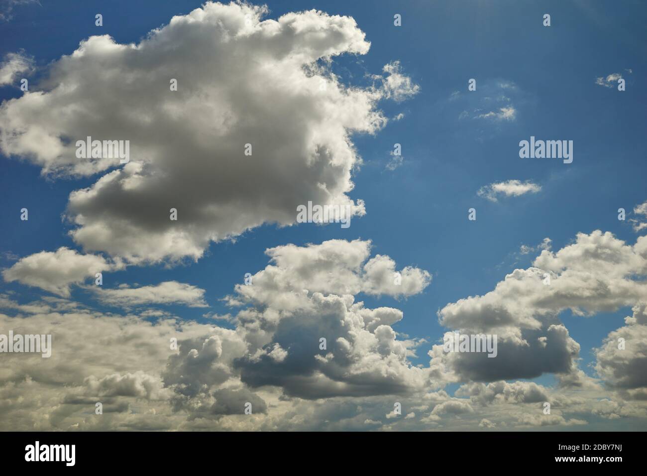 Flauschige Kumuluswolken fliegen hoch oben am hellblauen Himmel Stockfoto