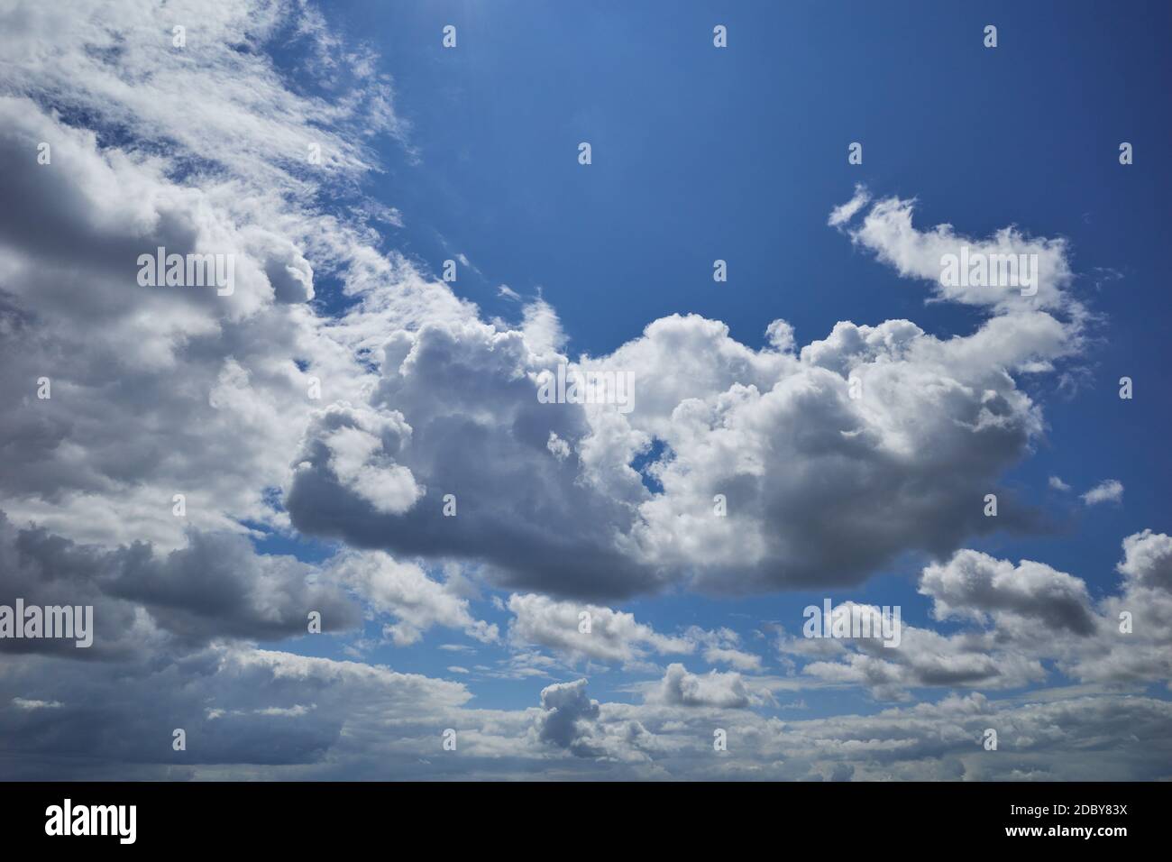 Strahlendes Blau des Himmels mit schönen Cumuluswolken, die von der Sonne am Zenit beleuchtet werden Stockfoto