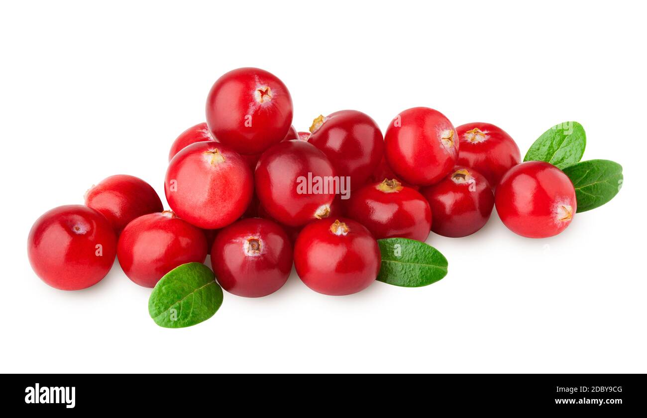 Cranberry auf weißem Hintergrund, Beschneidungspfade, volle Tiefenschärfe Stockfoto