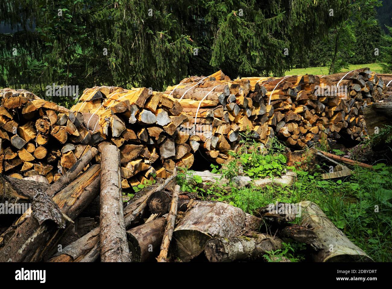 Im Sommer stapeln sich in den Tiroler Alpen Brennholz Stockfoto