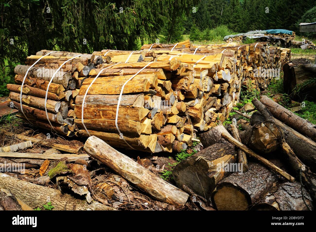 Im Sommer stapeln sich in den Tiroler Alpen Brennholz Stockfoto