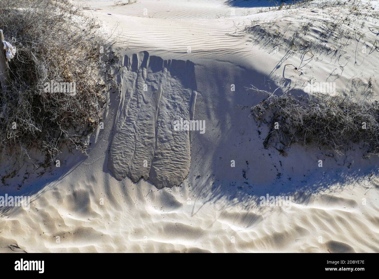 Muster auf Sanddünen, an den Sandstränden von La Mata, Torrevieja, Costa Blanca, Spanien, Winter, Wintersonne, Reiseziel Stockfoto
