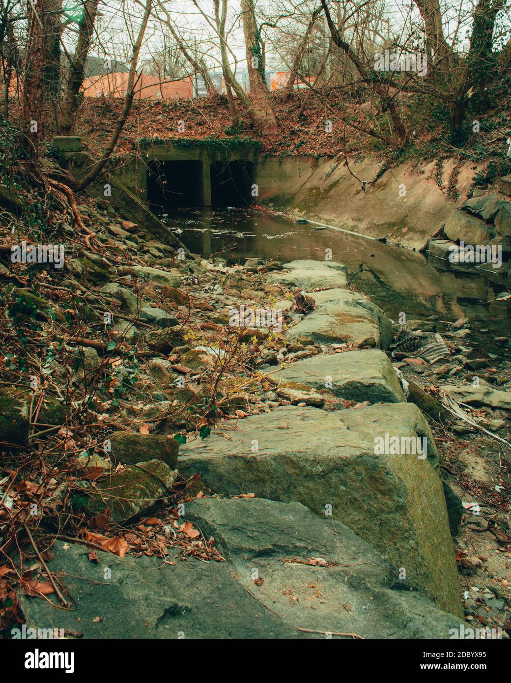 Ein dunkler und unheimlicher Tunnel in einem seichten Bach Ein Herbstwald Stockfoto