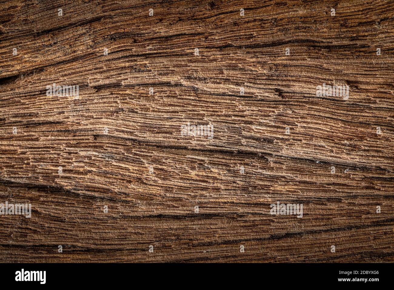 Faules Holz mit Linien gebrochen Muster, verwittert geknackt Vignette Grunge Textur für Hintergrund Stockfoto