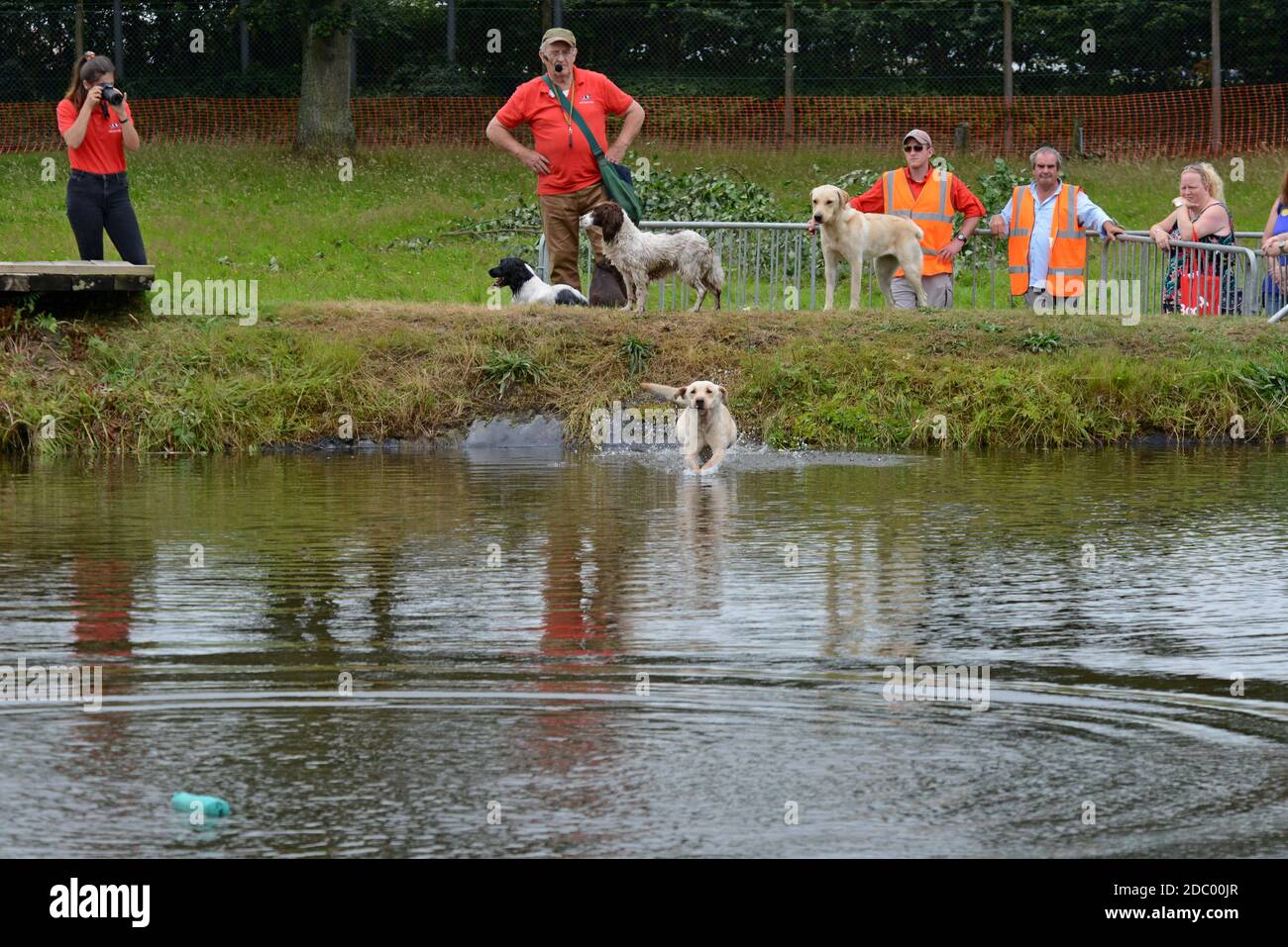 Builth Wells, Wales, 22. Juli 2019. Arbeitshunde holen Gegenstände aus dem See während einer Demonstration der Schützenhund-Techniken auf der 100. Royal Welsh Sh Stockfoto