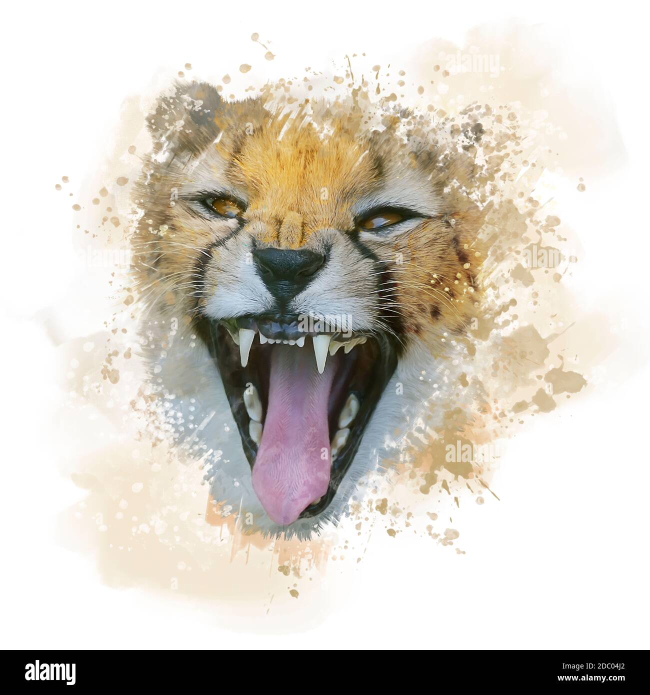 Cheetah Portrait Aquarell, digitale Illustration auf weißem Hintergrund. Stockfoto