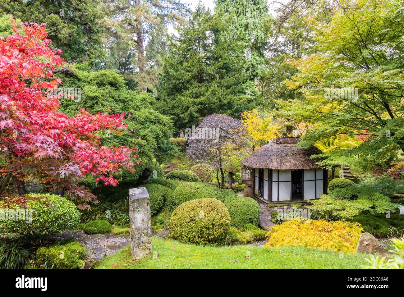 Malerische Ecke des Japanischen Gartens mit Teehaus im Tatton Park, England. Stockfoto