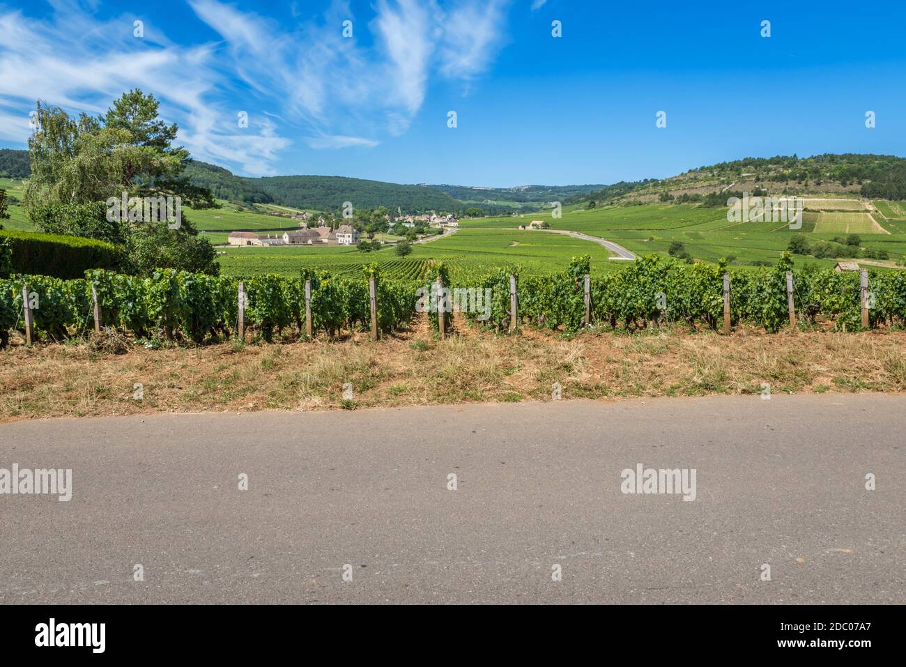 Blick auf in den Weinberg in Burgund Heimat von Pinot Noir und chardonnay im Sommer Tag mit blauem Himmel. Stockfoto