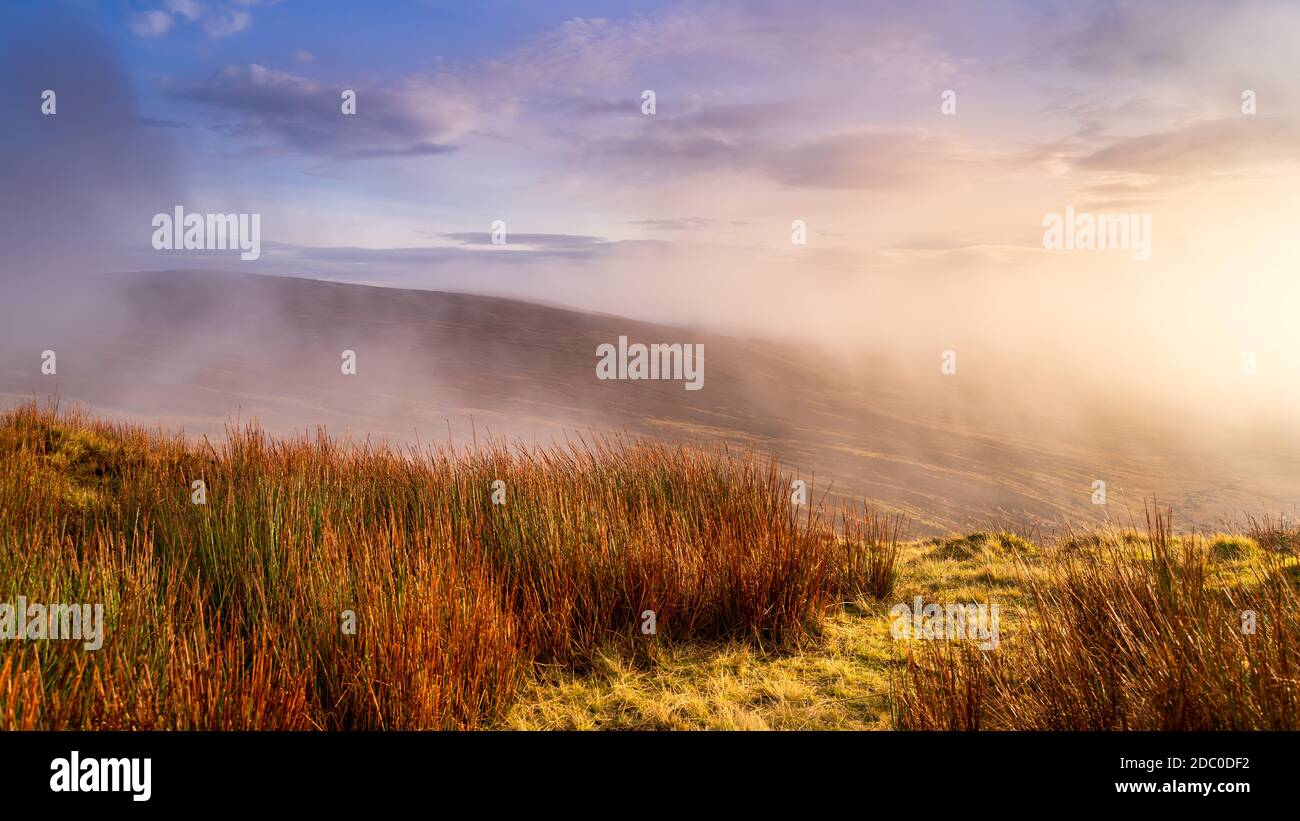 Nebel, Nebel und dramatischer Himmel über einem Moor oder Moor mit Baumstrohhalmen von Gras. Dramatische Landschaft der Wicklow Berge, Irland Stockfoto