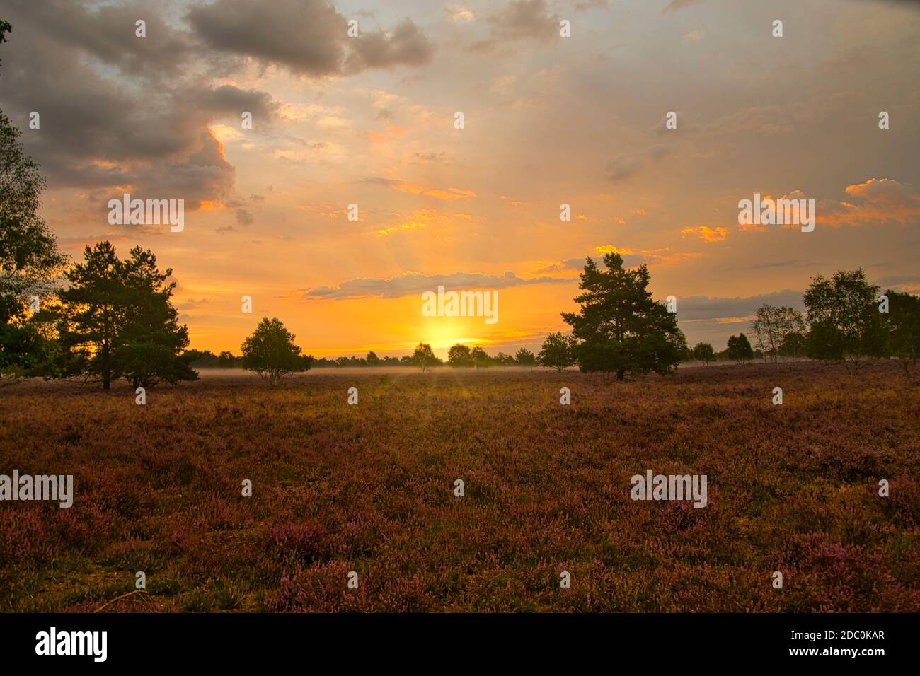 Sonnenaufgang Sonnenuntergang in der LÃ¼neburg Heide Stockfoto