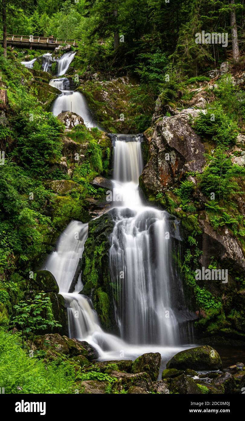 Der Wasserfall Kaskade von Triberg im Schwarzwald, Deutschland Stockfoto