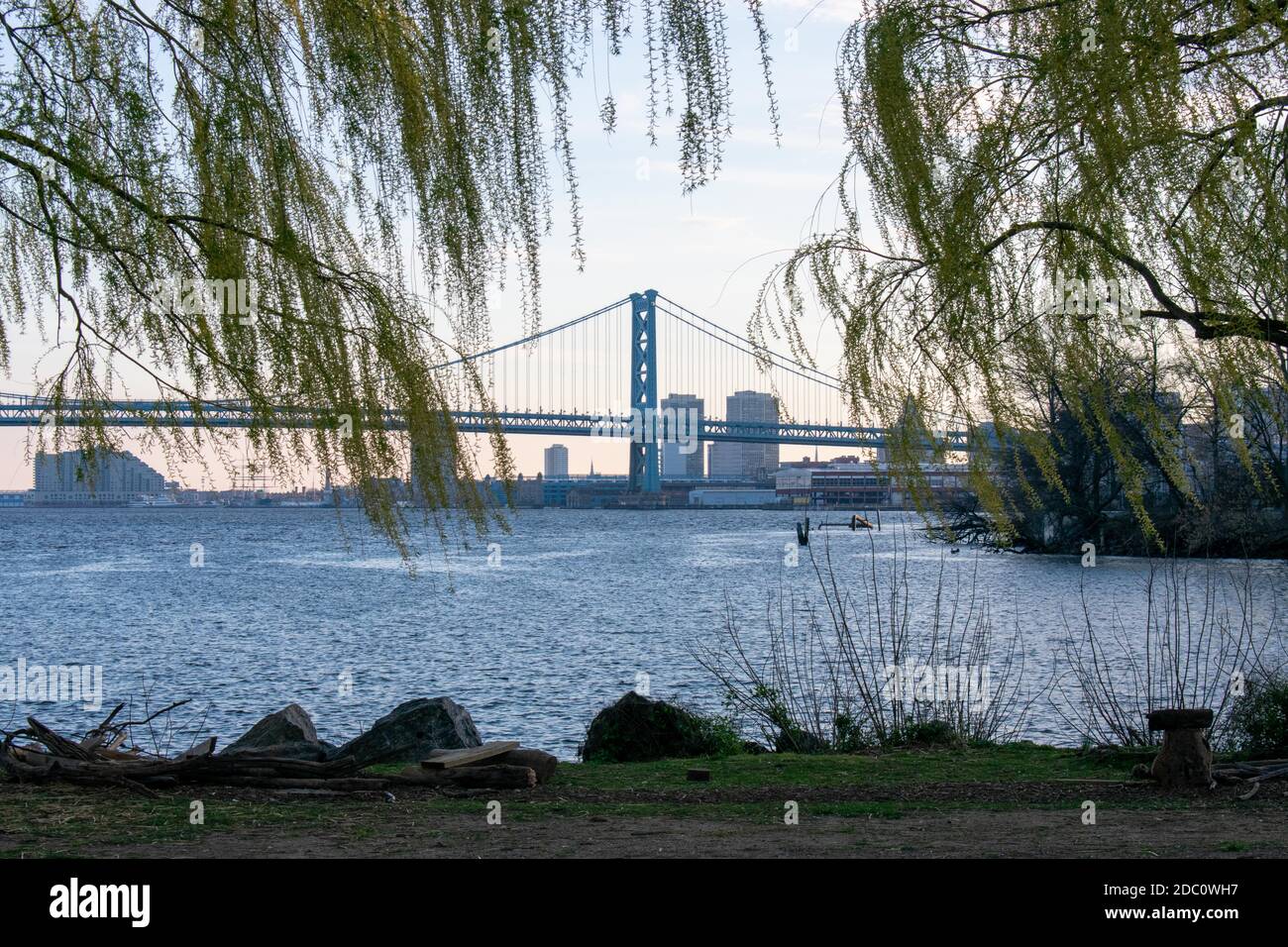 Blick durch helle grüne Bäume an der Ben Franklin Brücke Vom neu renovierten Penn Treaty Park Stockfoto