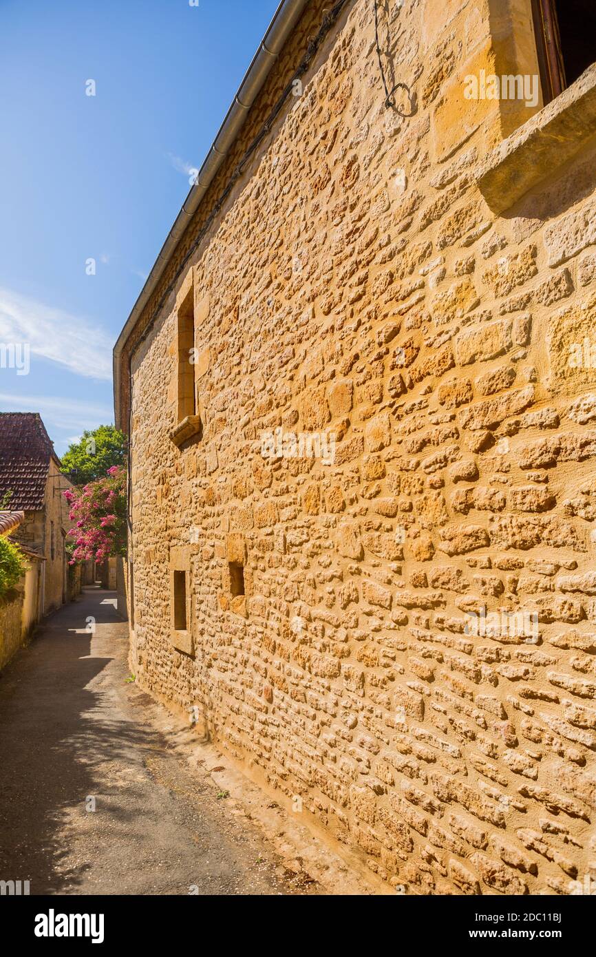 Straße mit historischen Häusern in Saint-Leon-sur-Vezere, Dordogne, Frankreich Stockfoto