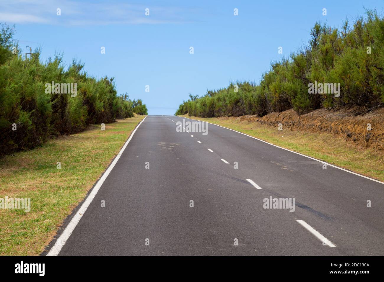 Straße auf der Spitze der Insel Graciosa, Azoren, Portugal. Stockfoto