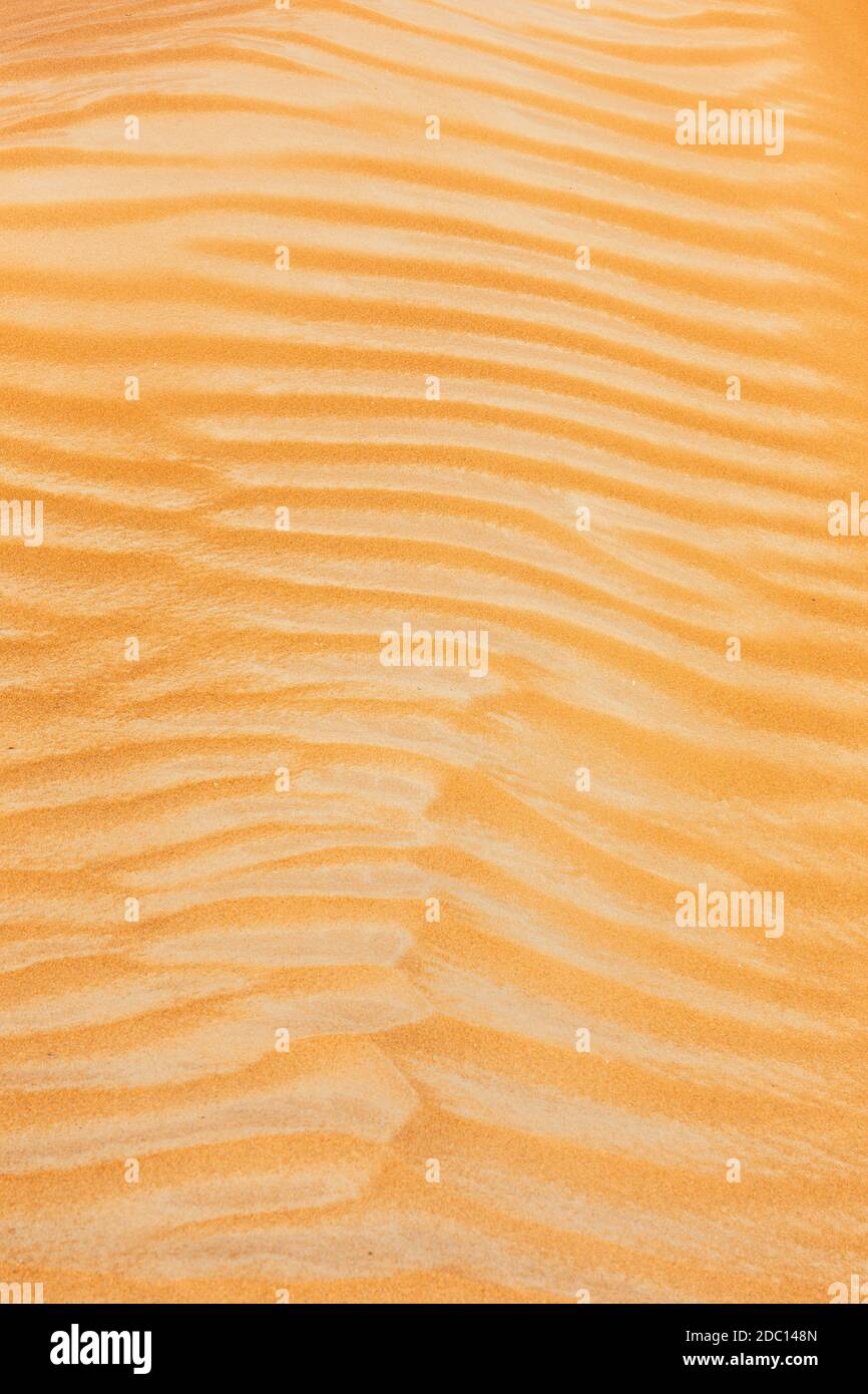 Sanddünen Textur Nahaufnahme, mit Wellenmuster vom Wind gebildet, Dubai, Vereinigte Arabische Emirate, Portrait-Ansicht. Stockfoto