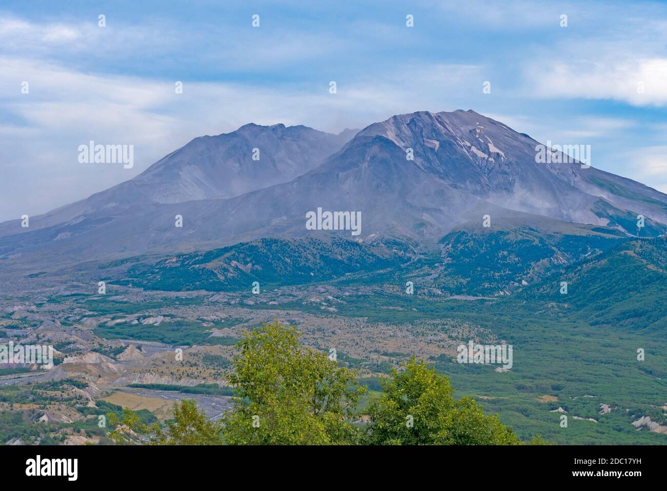 Vulkanlandschaft nach dem Ausbruch am Mt St. Helens National Volcanic Monument in Washington Stockfoto
