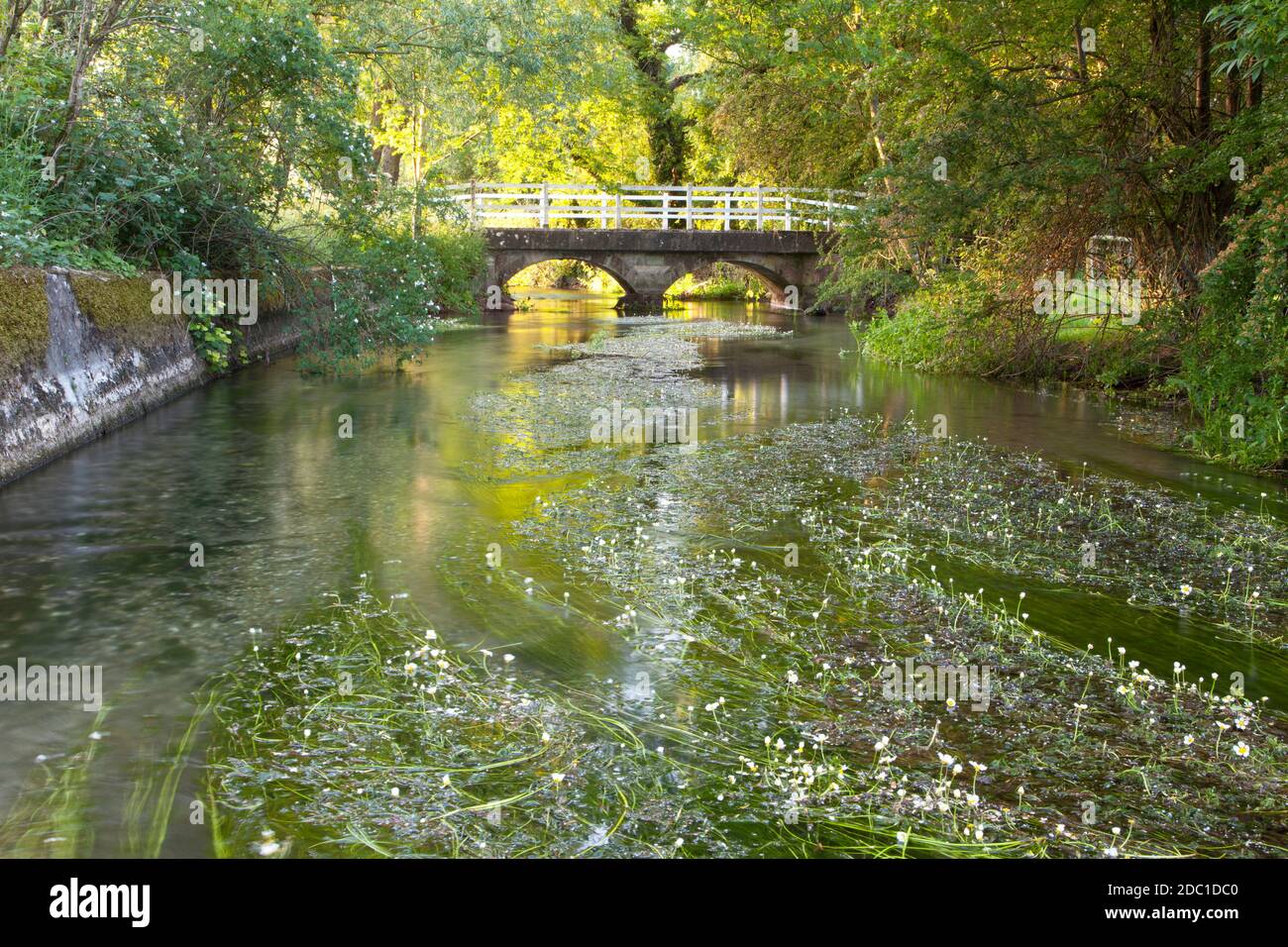 Eine Brücke auf dem Fluss Ebble bei Broad Chalke in Wiltshire. Stockfoto