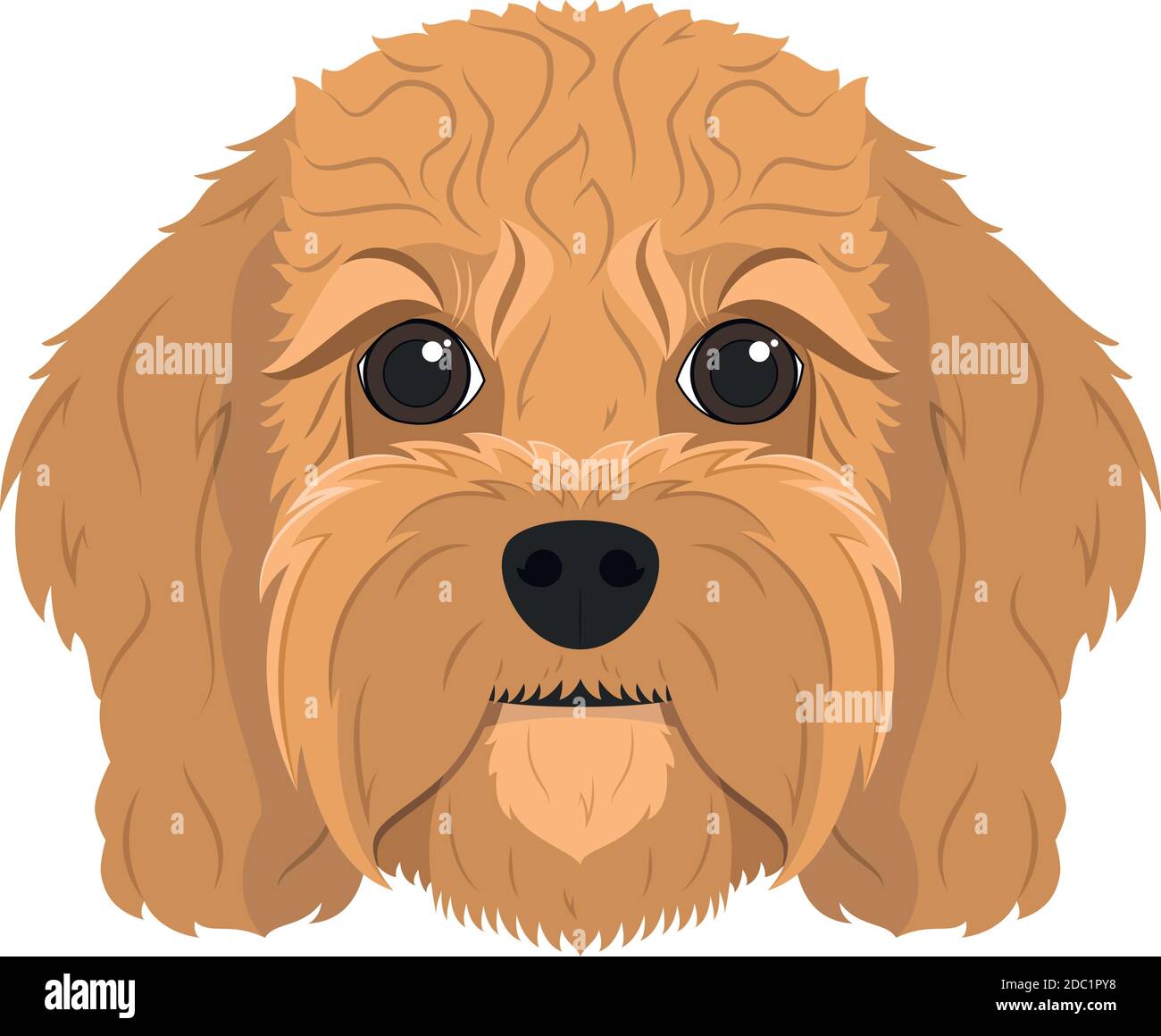 Cavoodle Hund isoliert auf weißem Hintergrund Vektor-Illustration Stock Vektor