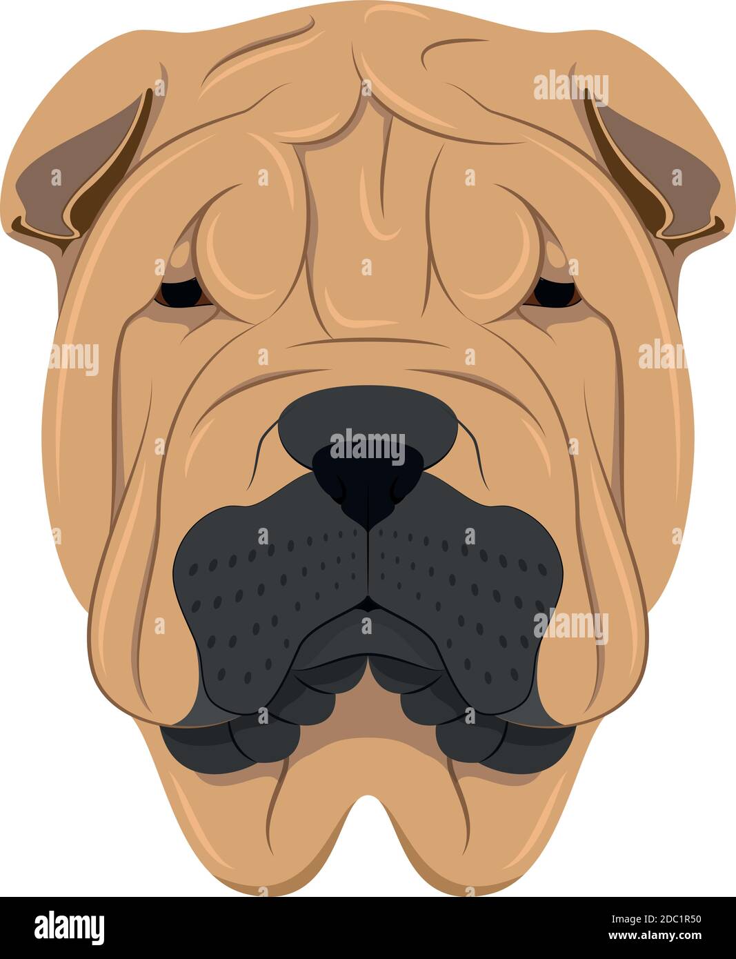 Shar Pei Hund isoliert auf weißem Hintergrund Vektor-Illustration Stock Vektor