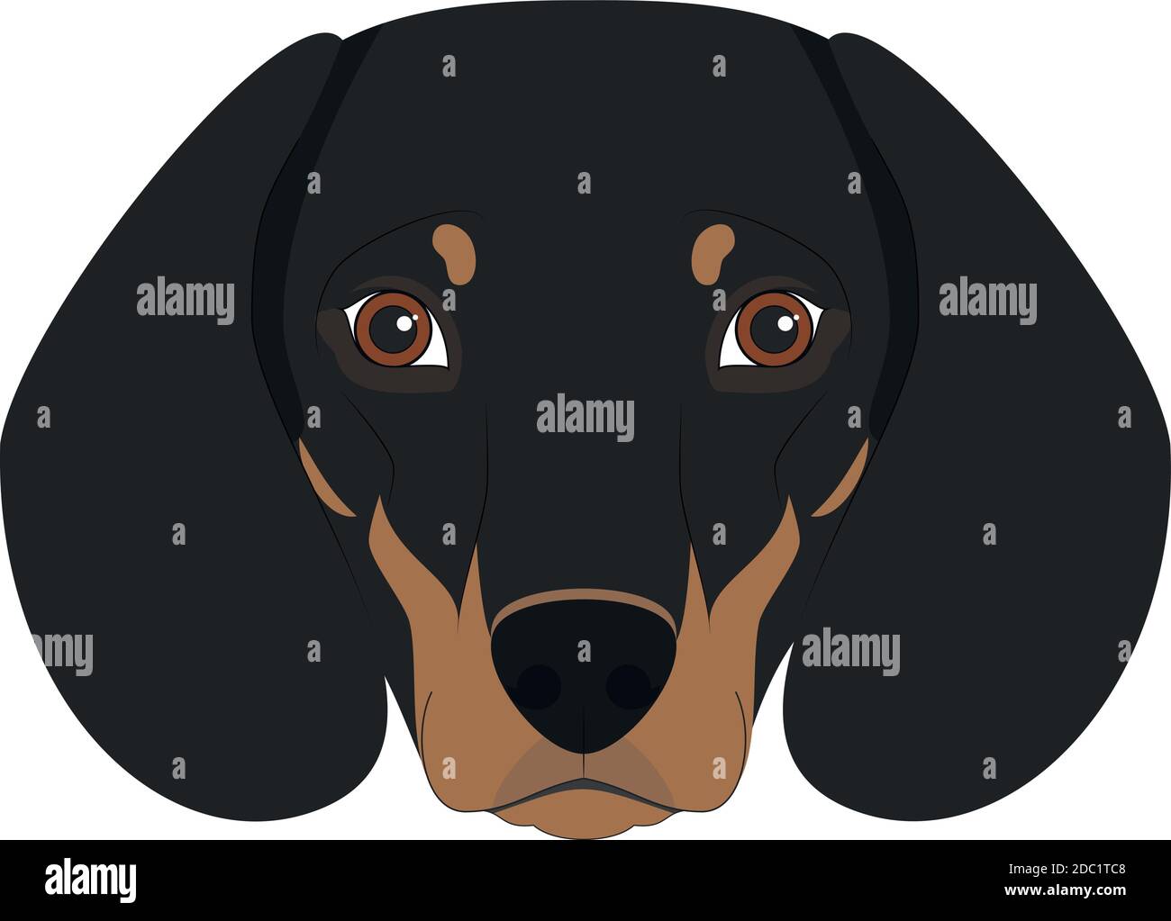 Dachshund Hund isoliert auf weißem Hintergrund Vektor-Illustration Stock Vektor