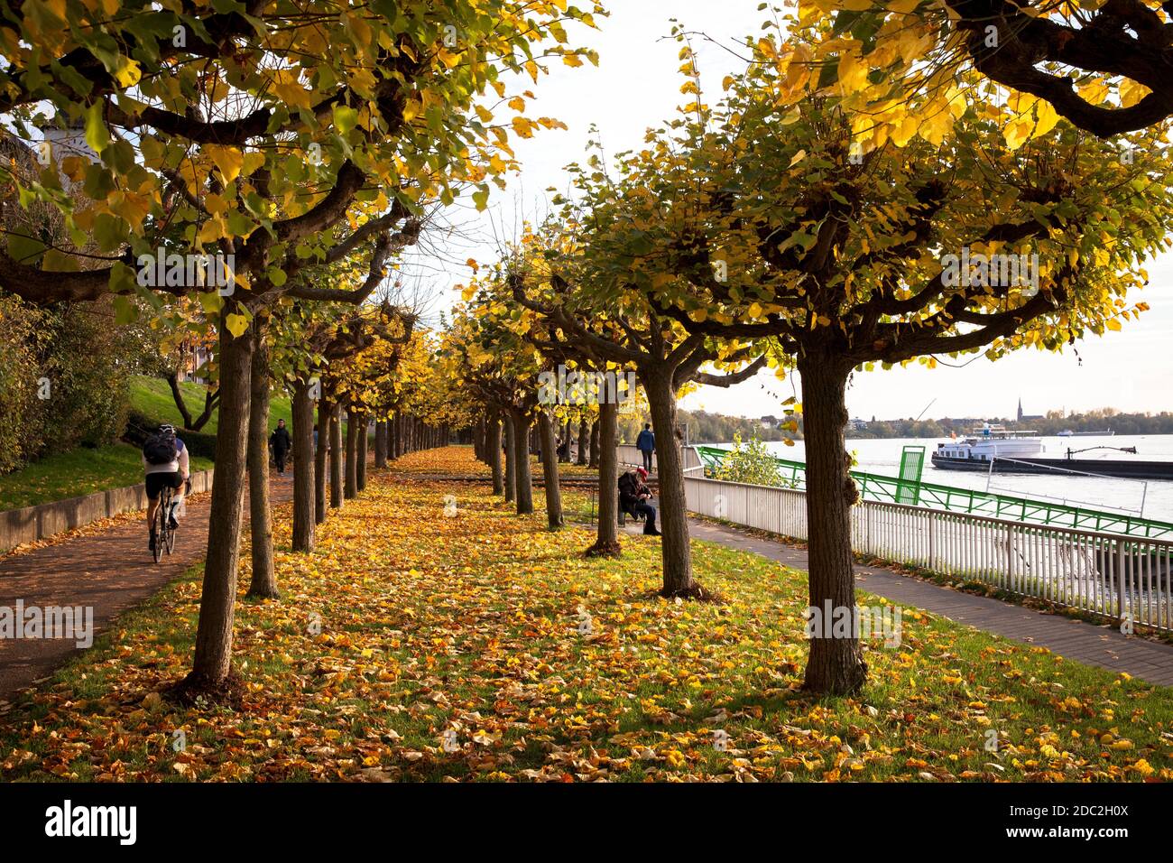 Die Rheinpromenade im Stadtteil Porz, Köln, Deutschland. Rheinpromenade im Stadtteil Porz, Köln, Deutschland. Stockfoto