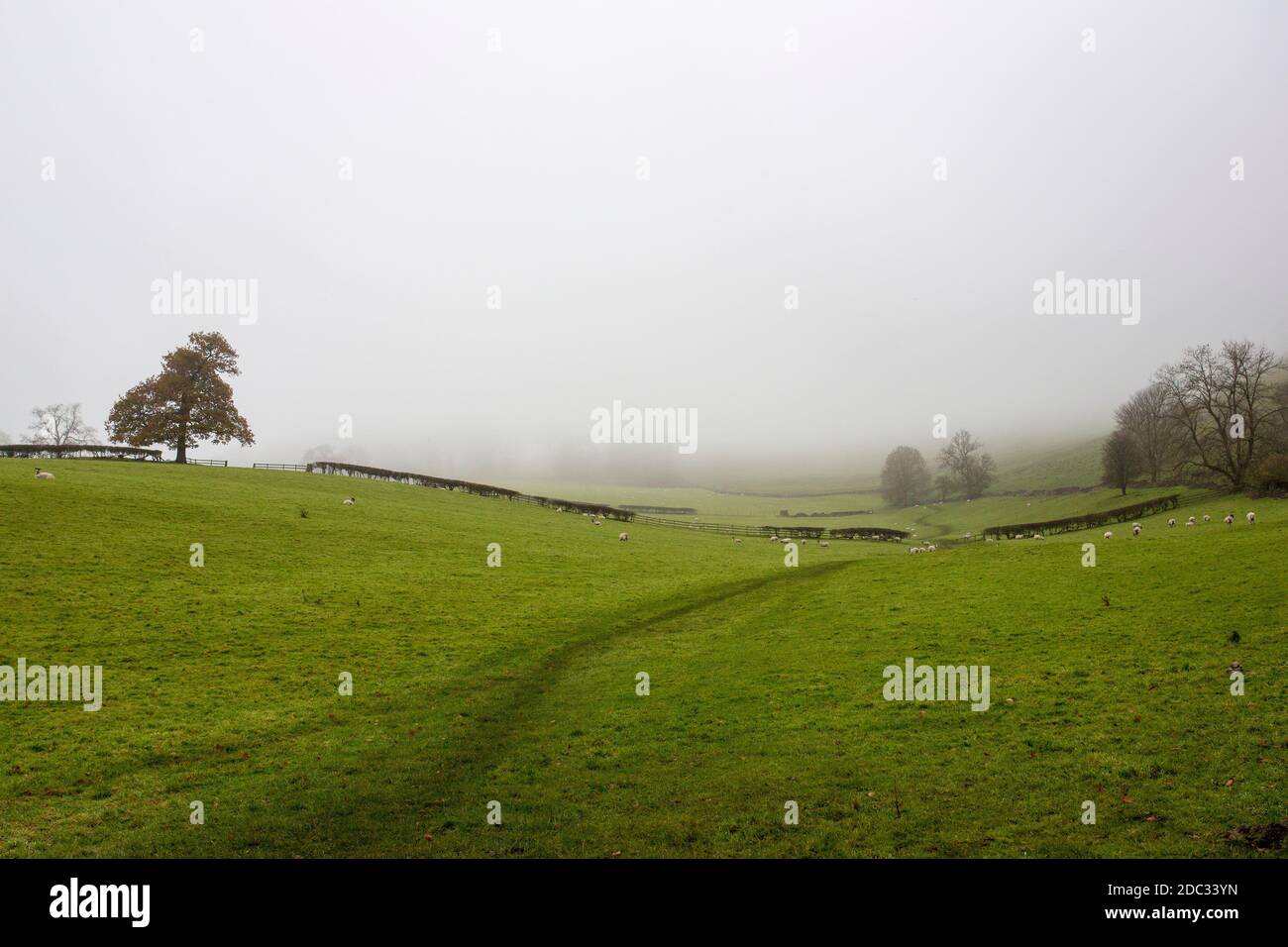 Ein Blick über Felder in den Derbyshire Dales auf einem Nebliger Tag Stockfoto