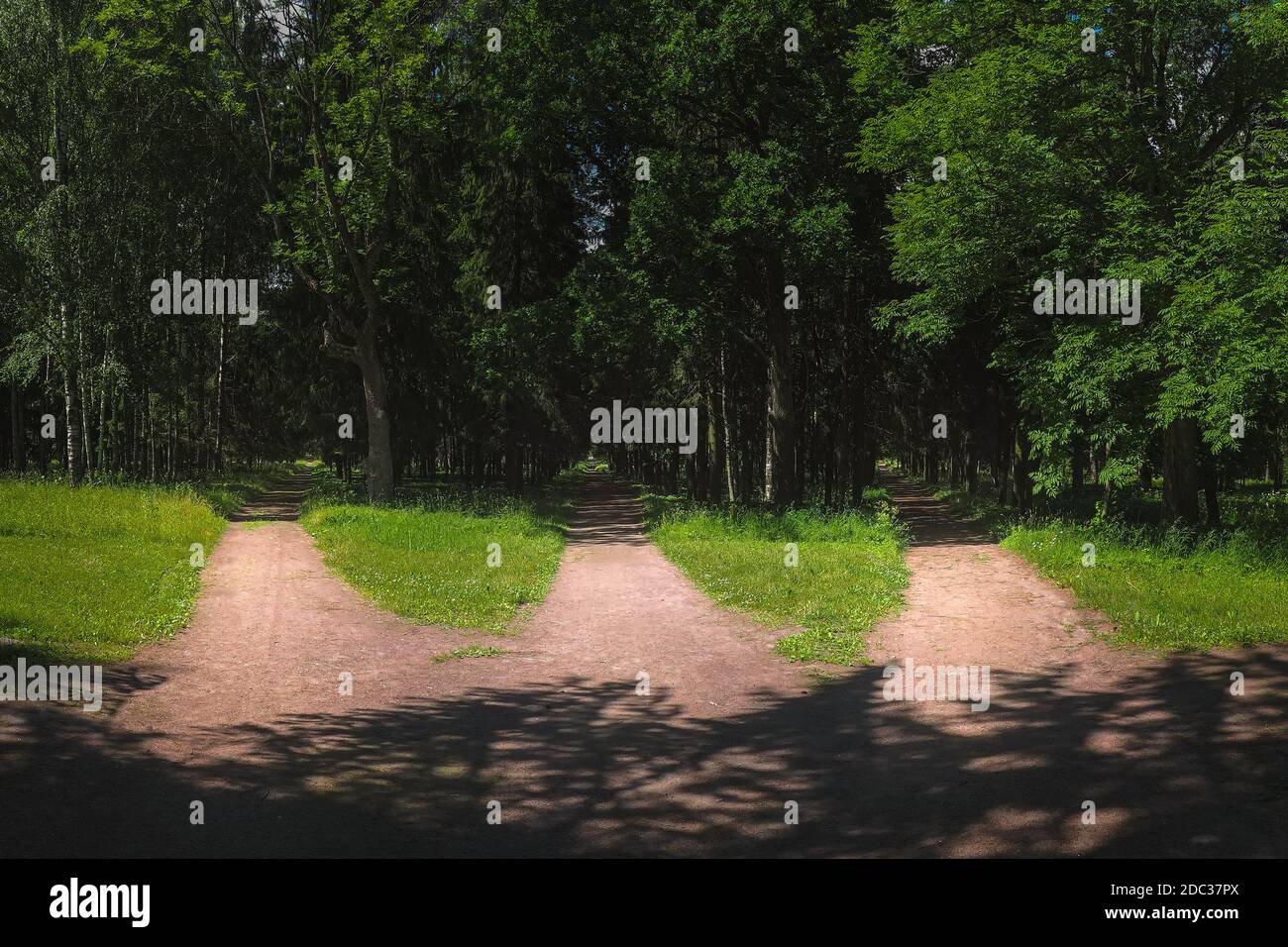 Drei Straßen im Wald, Wahl des Weges. Drei Forststraßen verschmelzen zu einer. Stockfoto