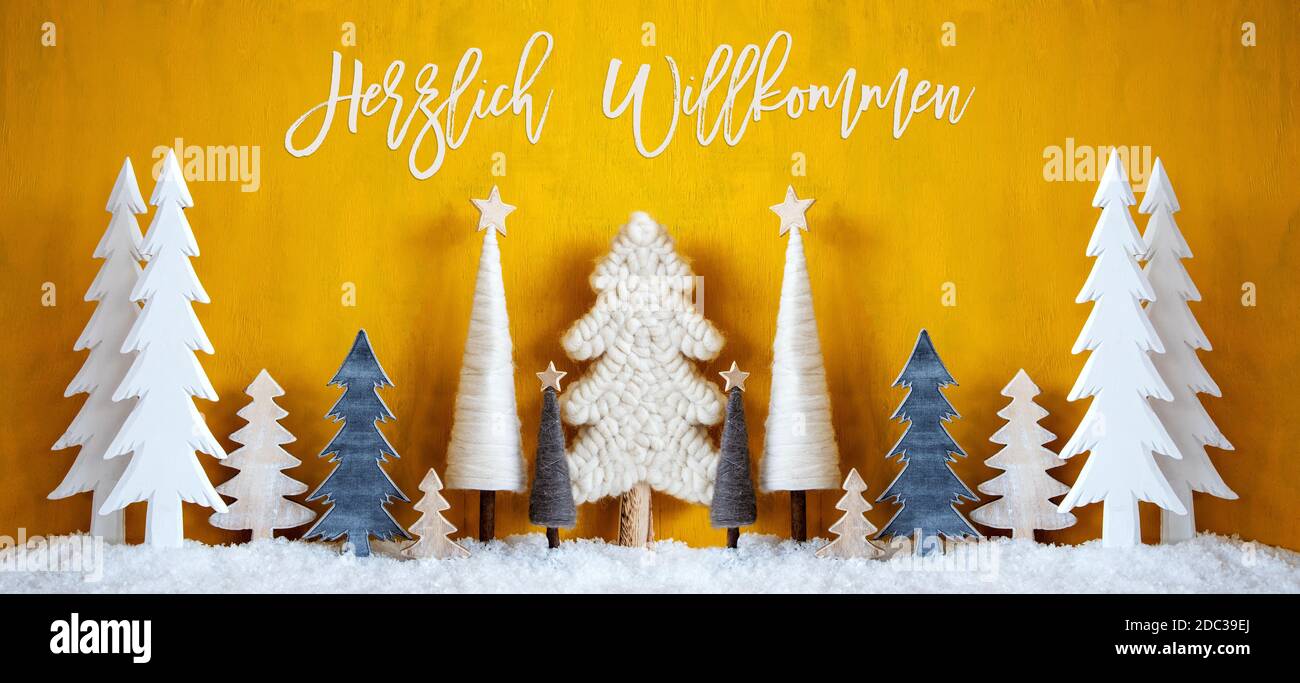 Willkommen, liebe Schneefreunde!