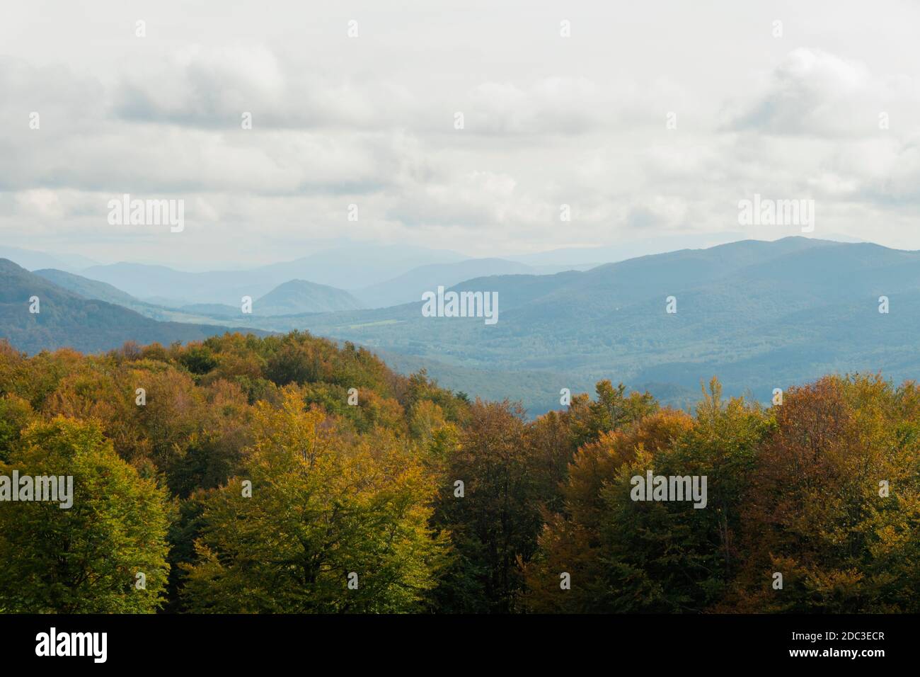 Europa, Polen, Woiwodschaft Podkarpackie, Bieszczady, Polonina Carynska - Nationalpark Bieszczady. Blick von Polonina Carynska. Stockfoto