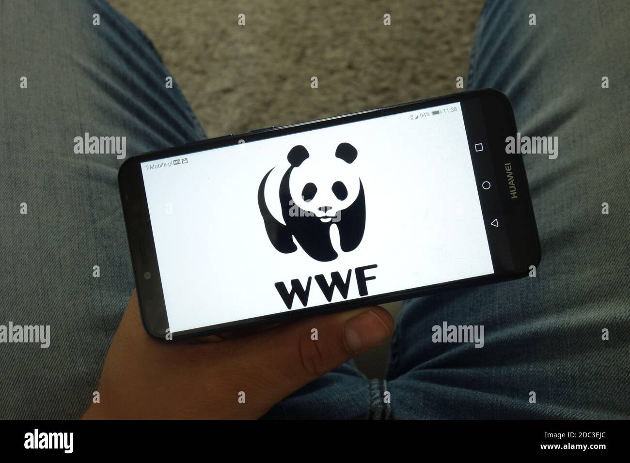KONSKIE, POLEN - 29. Juni 2019: World Wide Fund for Nature - WWF-Logo auf Handy angezeigt Stockfoto