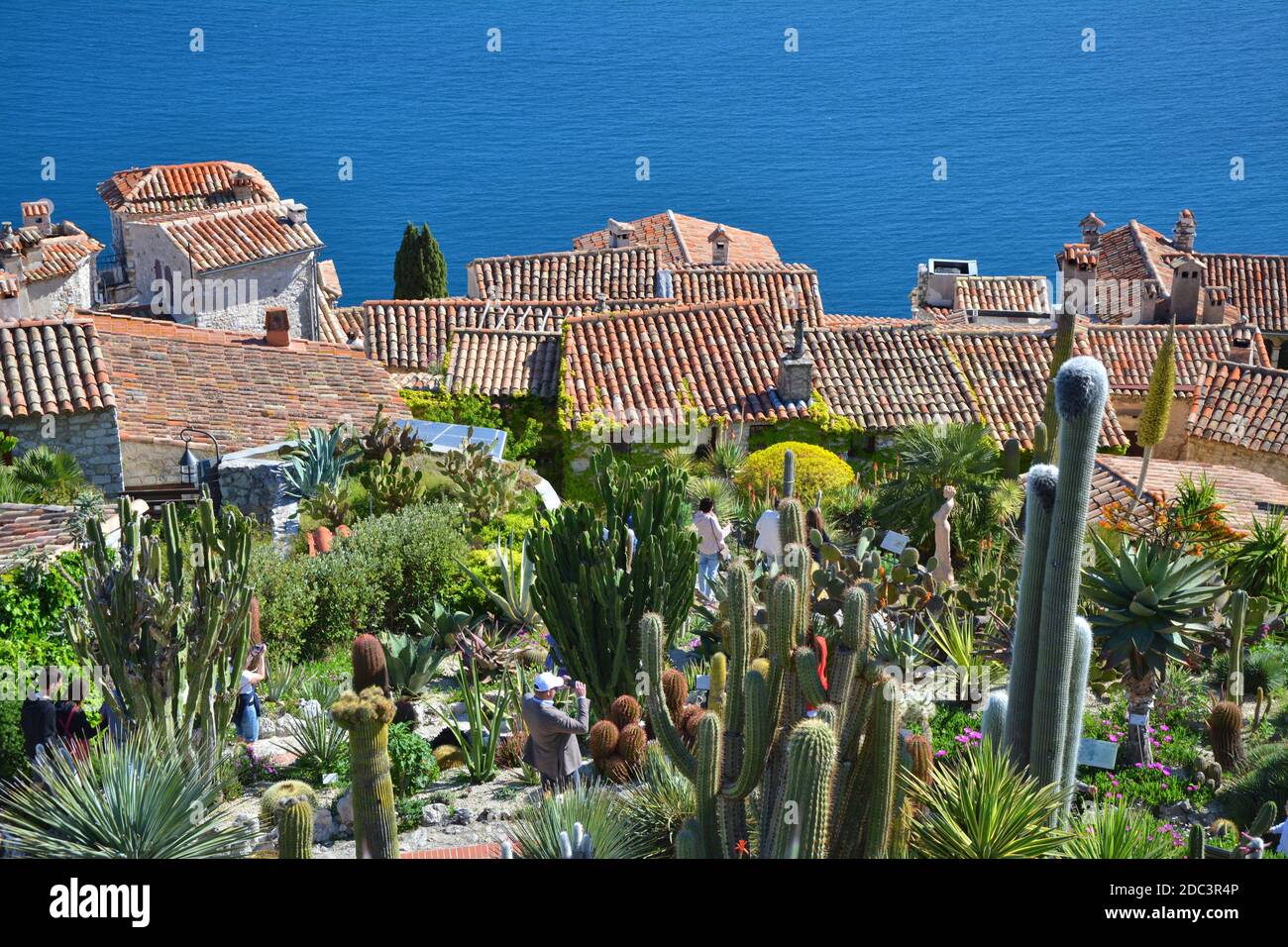 Botanischer garten von eze Fotos und Bildmaterial in hoher Auflösung