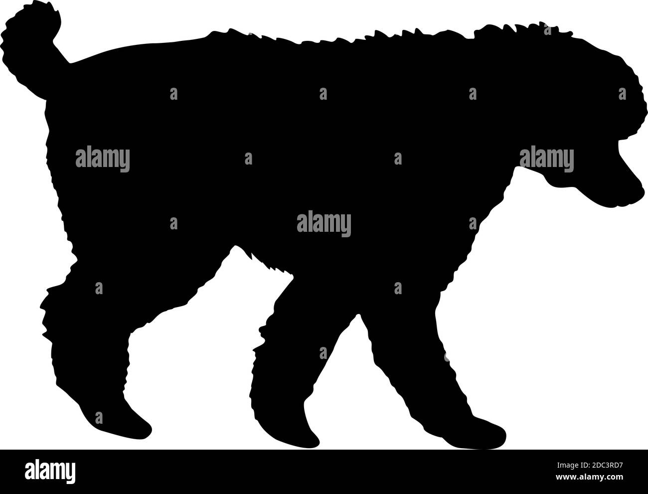 Pudel Hund schwarze Silhouette auf weißem Hintergrund. Stock Vektor