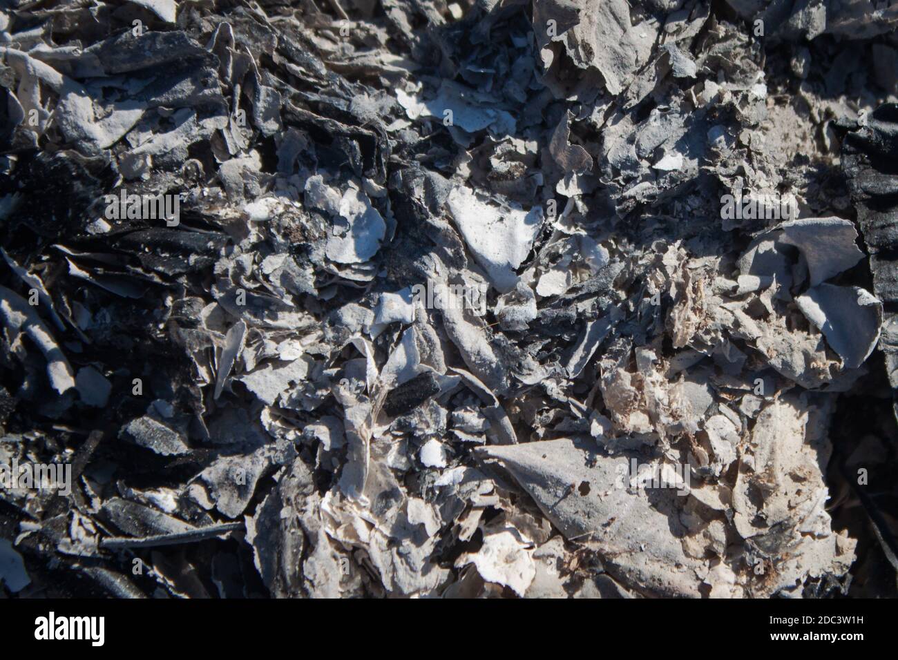 Eine Nahaufnahme von grauer Asche, Zander. Abstraktes Muster Stockfoto