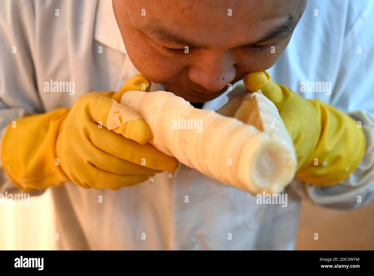 201118) -- LIUZHOU, 18. November 2020 (Xinhua) -- Li Yongguo riecht  fermentierte eingelegte Bambussprossen in einer Werkstatt eines 'Luosifen'  Unternehmens in Liuzhou, Sdchina Guangxi Zhuang Autonome Region, 18.  November 2020. Li Yongguo,