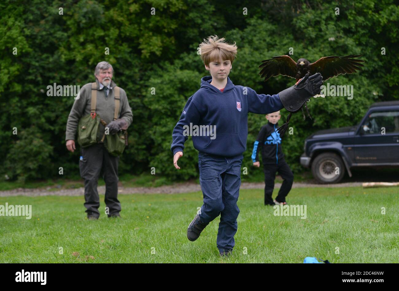 Kleiner Junge, der mit einem Harris im Falkendisplay Party gemacht hat Hawk Staffordshire County Show Stockfoto