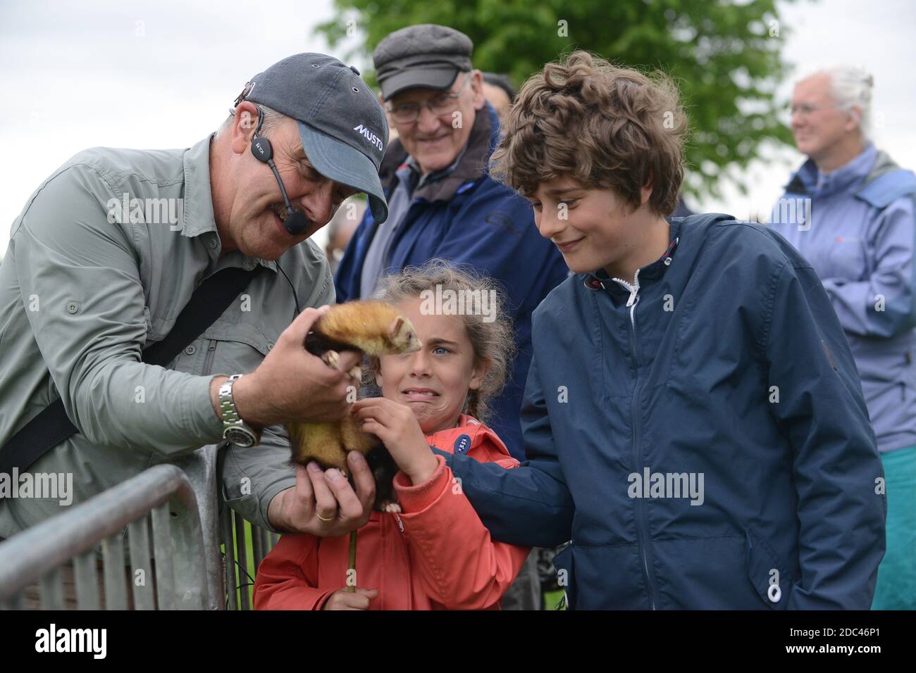 Kinder zeigten ein Frettchen bei Staffordshire County Show Stockfoto