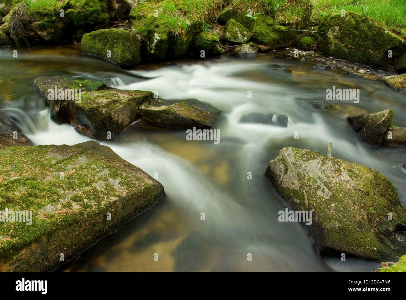 Golitha Falls, Cornwall Stockfoto